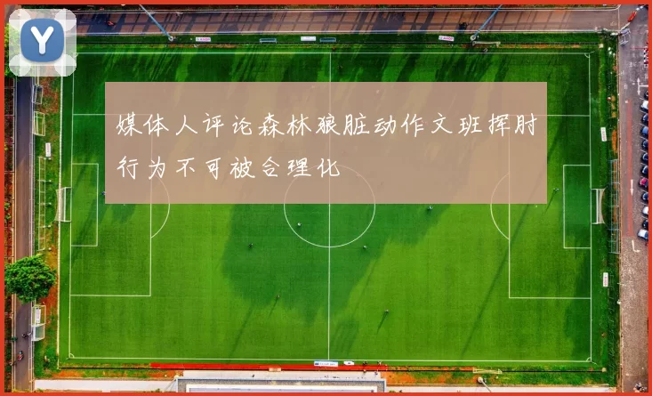 媒体人评论森林狼脏动作文班挥肘行为不可被合理化